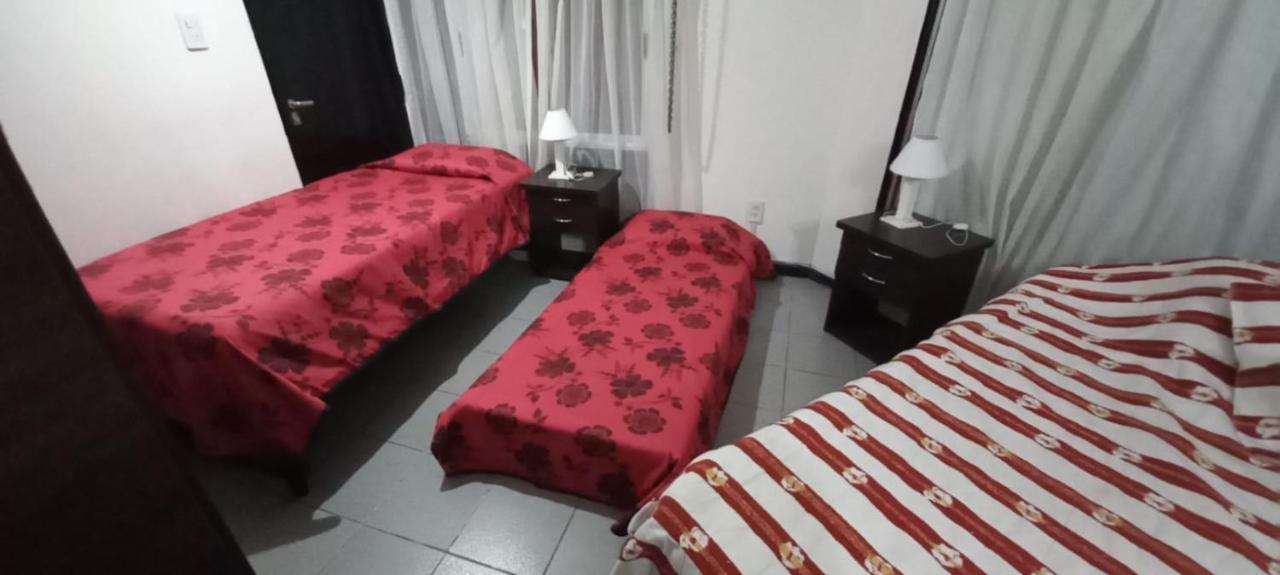 Apartamentos Willy - En Zona Residencial Con Estacionamiento Mendoza Bagian luar foto